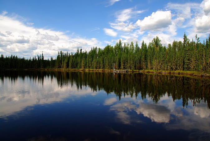 Picture